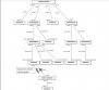 diagramm.JPG