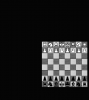 schach__3.png