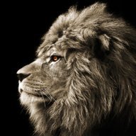 Liondary